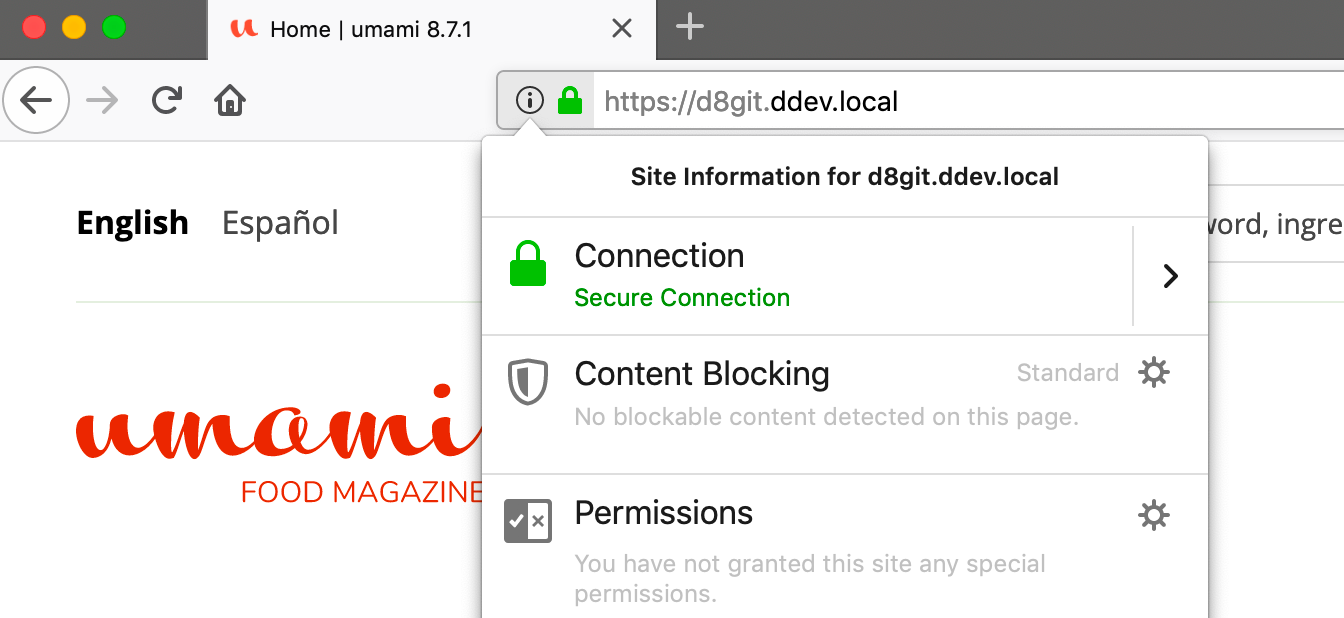 Screenshot of a browser showing a DDEV project with a secure HTTPS connection